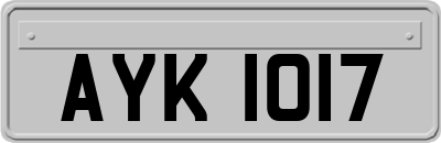 AYK1017