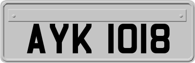 AYK1018