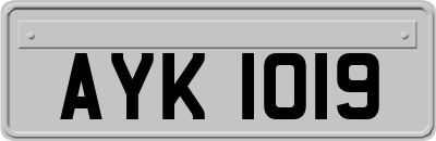 AYK1019