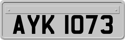 AYK1073