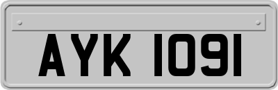 AYK1091