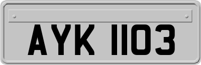 AYK1103