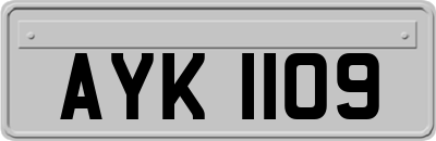 AYK1109