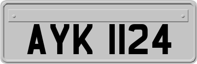 AYK1124
