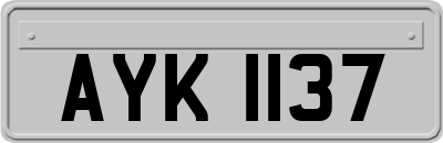 AYK1137
