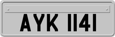 AYK1141