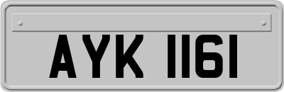 AYK1161