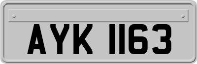 AYK1163