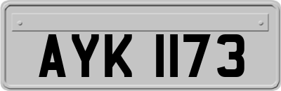 AYK1173