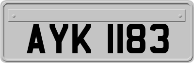 AYK1183