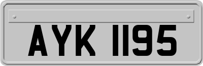 AYK1195