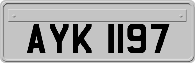 AYK1197