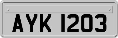 AYK1203