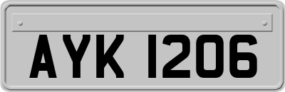 AYK1206