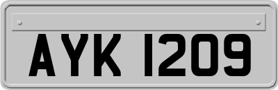 AYK1209