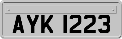 AYK1223