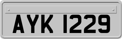 AYK1229