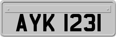 AYK1231