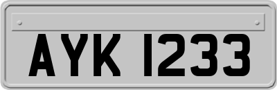 AYK1233