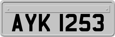 AYK1253