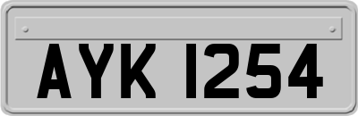 AYK1254