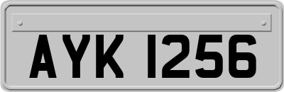 AYK1256