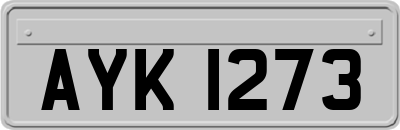 AYK1273