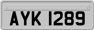 AYK1289