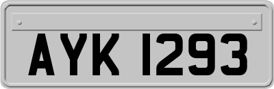 AYK1293