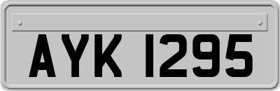 AYK1295