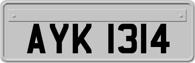 AYK1314
