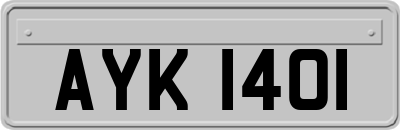 AYK1401