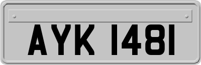 AYK1481