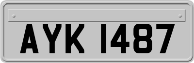 AYK1487