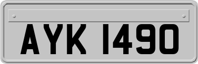 AYK1490