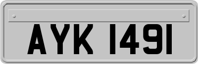 AYK1491