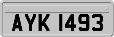 AYK1493