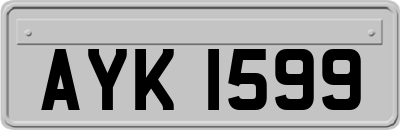 AYK1599