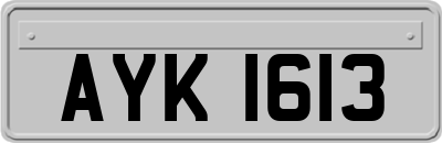 AYK1613