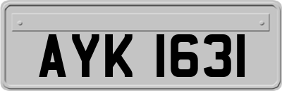 AYK1631