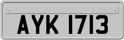 AYK1713