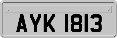 AYK1813