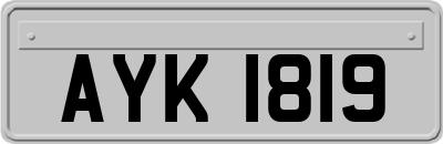 AYK1819