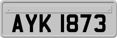 AYK1873