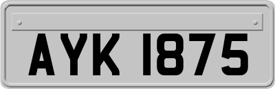AYK1875
