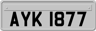 AYK1877
