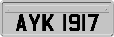 AYK1917