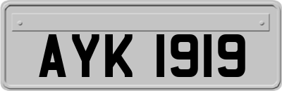 AYK1919