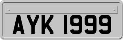 AYK1999