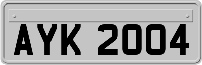 AYK2004